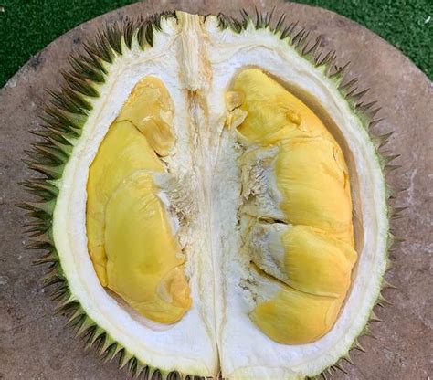 5 Rekomendasi Tempat Makan Durian Enak Di Jakarta Yakin Nggak Mau