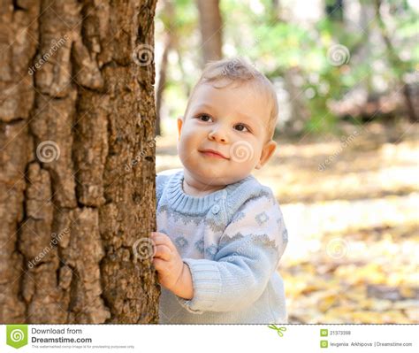 Beautiful wallpapers from lonely trees. Baby Boy Standing Near Tree In Autumn Park Stock Photo ...