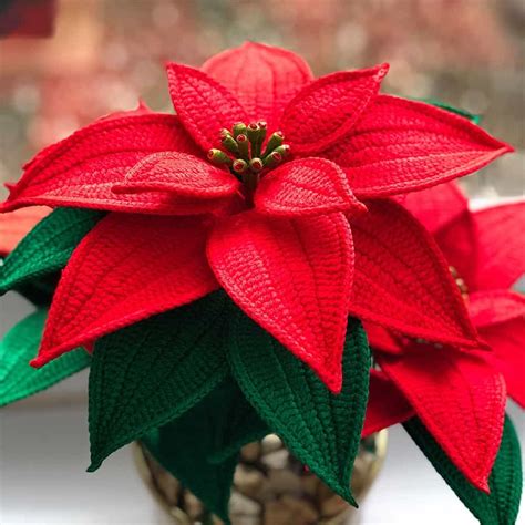 Crochet Poinsettia Pattern Natagor Finlayson