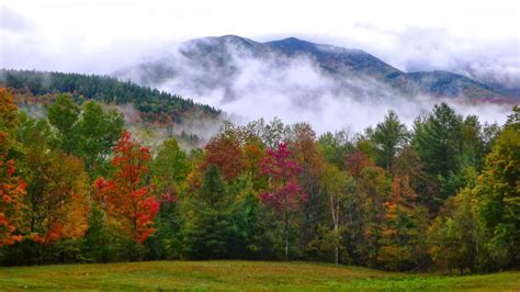 Colorful Autumn Spring Leafed Trees Slope Mountains With Fog Mist In