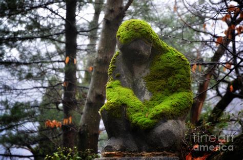 Statue With Moss Photograph By Mats Silvan