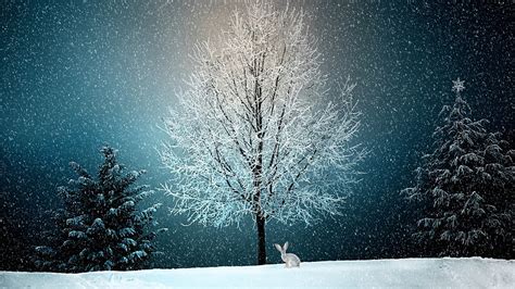 Winter Wintry Snow Free Photo On Pixabay Pixabay