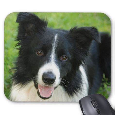 Pet Mice Border Collie Dog Herding Add Text Mouse Pad Jigsaw