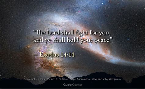 Exodus 1414 “the Lord Will Fight For You” Translation Meaning Context
