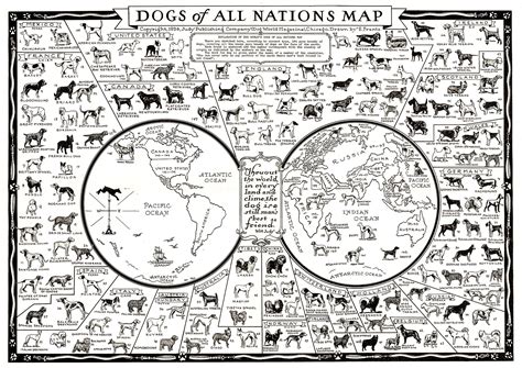 Dog Map