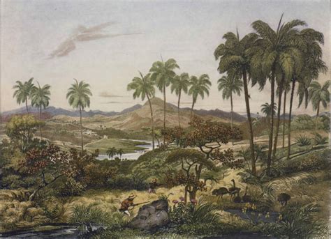 The Brazilian Campos In Nineteenth Century Landscape Art Environment