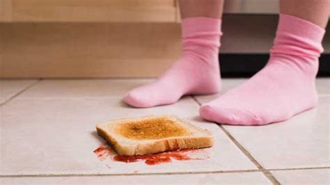 Five Second Rule What Exactly Happens When You Drop Food On The Floor