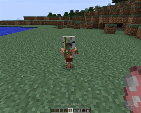 We did not find results for: Better Spawn Eggs 1.7.2 for Minecraft