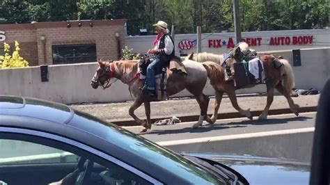 Man On Horse Holds Up Traffic On Outerbridge Crossing