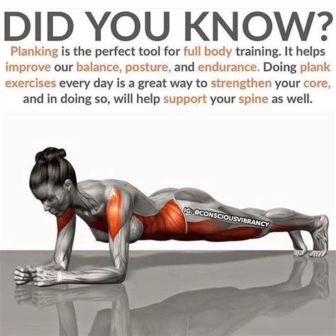 In order to take care of your health and strengthen core, you should perform at least a minimum of exercises for a given set of muscles (but it is better to train your entire body): #knowgains . . Today's Topic . KNOW - PLANKS . Planks are ...