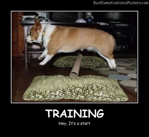 Dog Training Quotes Inspirational Quotesgram