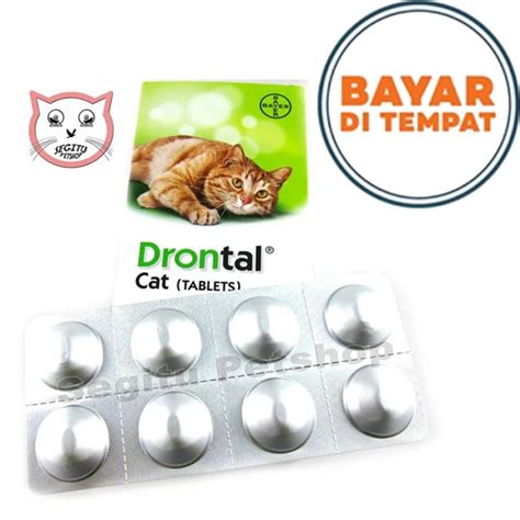 OBAT CACING KUCING DRONTAL CAT - 1 TABLET | Lazada Indonesia