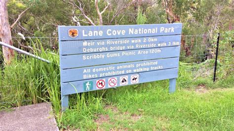 Lane Cove National Park Walking Tracks National Parks Cove