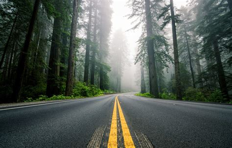 Wallpaper Road Forest Trees Nature Fog Markup Highway Usa North