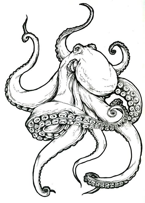 Realistic Octopus Drawing At Getdrawings Free Download