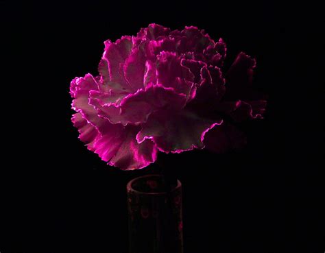39807) swan flower vase (rd. 15 Fun Glow in the Dark Black Light Projects | Glowing ...