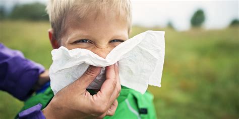 7 Ways To Reduce Your Childs Seasonal Allergy Symptoms Penn Medicine