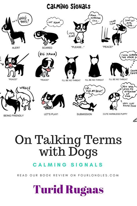 On Talking Terms With Dogs Calming Signals Book Review Four Long
