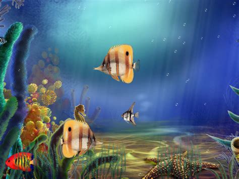 Animated Aquarium Screensaver For Windows Animated Aquarium Screensaver