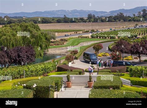 Tourists Visitors Visiting Domaine Carneros Napa Napa Valley Napa