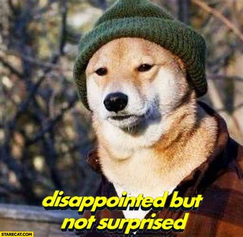 Doge (often dohj, dohg, dohzh) is an internet meme that became popular in 2013. Disappointed but not suprised doge meme | StareCat.com