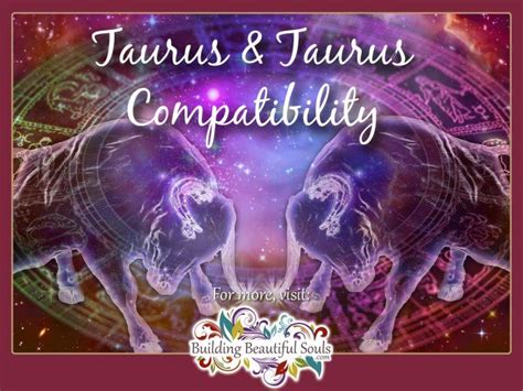 Taurus And Taurus Compatibility Friendship Love And Sex