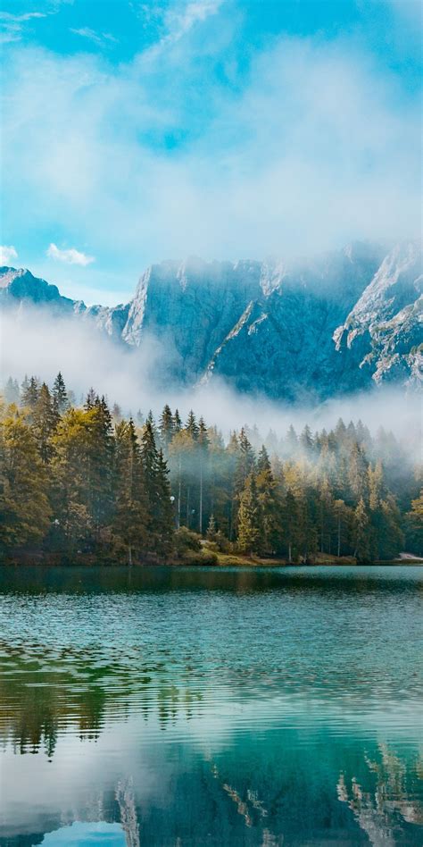 Download 1080x2160 Wallpaper Lake Mountains Mist Forest Nature