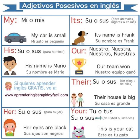 Adjetivos Posesivos en inglés my your his her our their con ejemplos Posesivos en