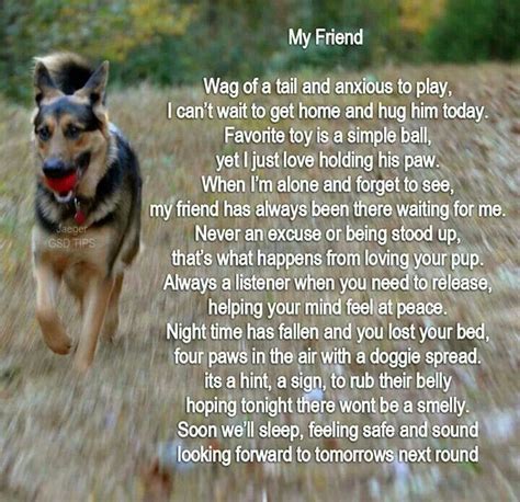 Browse +200.000 popular quotes by author, topic, profession. German Shepherd Quotes Poems. QuotesGram