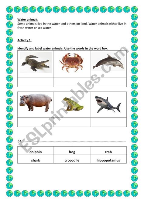 Identify Water Animals Esl Worksheet By Carinavlachos