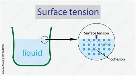 Illustration Of Physics Water Has A Surface Tension Surface Tension