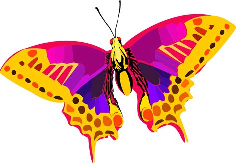 Abstract Colorful Butterfly Butterfly Art Vintage Butterfly Tattoo