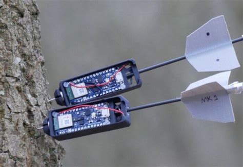 Drones That Patrol Forests Could Monitor Environment Uas Vision
