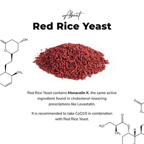 Red Rice Yeast Cholesterol Heart Davina Wellness