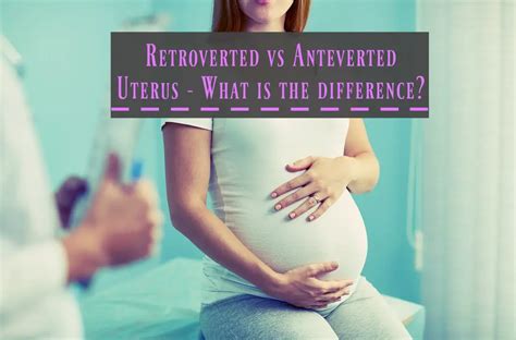 Retroverted Vs Anteverted Uterus Whats The Difference The Healthy
