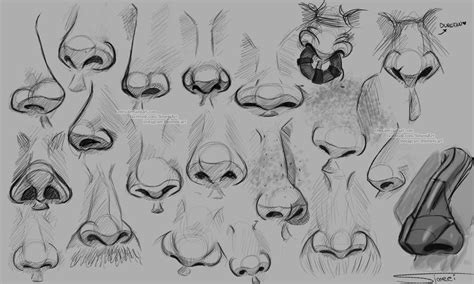 Nose Studies By Ntys Get More Rohitanshu Dibujo Nariz Esbozos