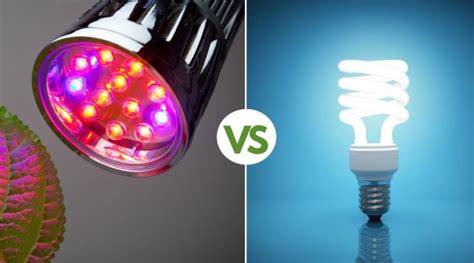 These types of bulbs are on average, incandescent light bulbs last 1,100 hours, cfl last 8,000 hours and led last 15,000+ kimberly grew up helping her dad with the family garden and hopes to have her own garden some day. Grow Lights vs Regular Lights: The Best Lighting For Your ...