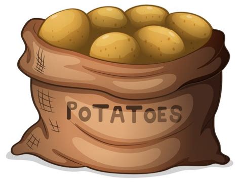 ᐈ Potatoes Drawing Stock Vectors Royalty Free Potatoes Illustrations Download On Depositphotos®