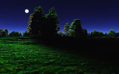 Download Star Nature Grass Moon Artistic Landscape Hd Wallpaper