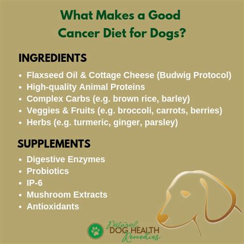 What Foods Prevent Cancer In Dogs