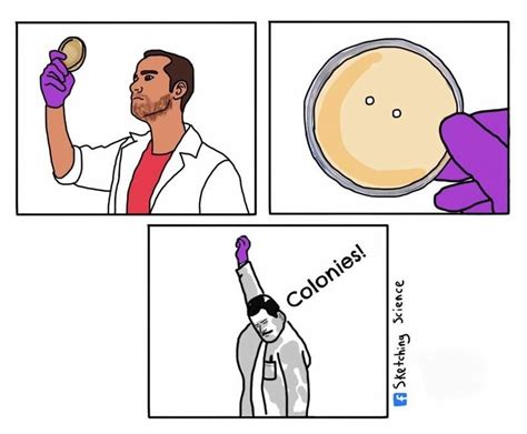 For Scientists These Webcomics Are Painfully Accurate Biology Humor