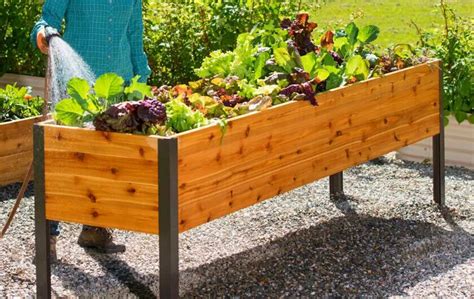 15 Of The Best Elevated Planter Box Plans Bed Gardening