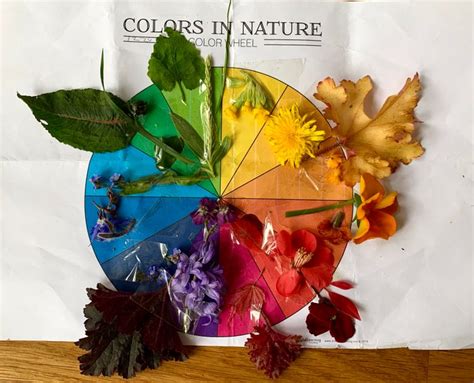 Nature Walk Idea 1 Match Colours Of Nature To A Colour Wheel Gaya