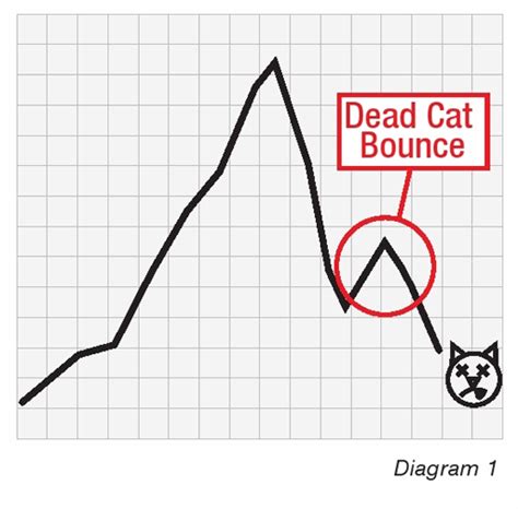 What Do You Mean By Dead Cat Bounce General Trading Qanda By Zerodha All Your Queries On