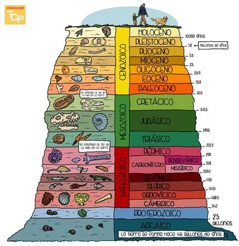 Informacion De Las Eras Geologicas Y Sus Divisiones Cuadros Sinopticos
