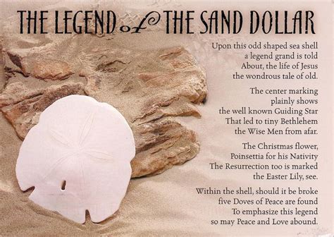 The Legend Of The Sand Dollar Sand Dollar Sand Dollar Decor Sand
