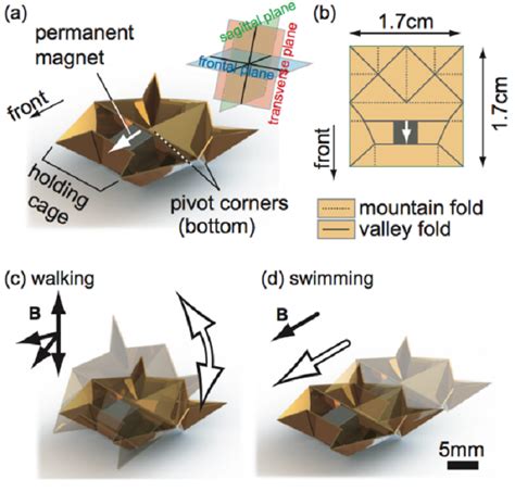 The Promise Of Nanotechnology Mits Self Assembling Origami Robot Herox