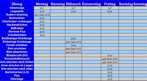 Grundidee des trainingsplans für zuhause. Muskelaufbau + Krafttraining mit 15 Jahren ? (Muskeln ...