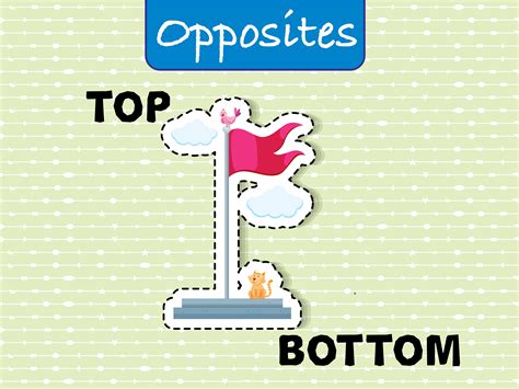 Opposite Wordcard For Top And Bottom 302995 Download Free Vectors