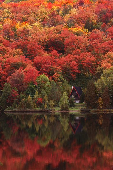 Autumn At The Lake Photograph By Alan Marsh Fine Art America